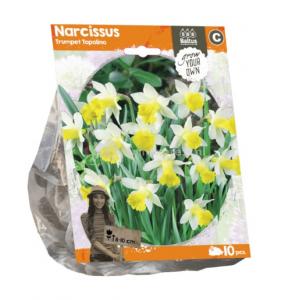 Baltus Narcissus Trumpet Topolino bloembollen per 10 stuks